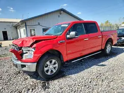 1FTEW1EP1GFA62319 2016 FORD F-150