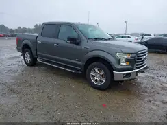 1FTEW1EP1GFA67326 2016 FORD F-150