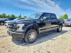 1FTEW1EP1GFB12197 2016 FORD F-150