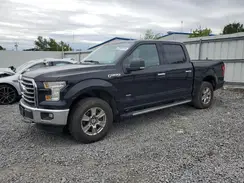 1FTEW1EP1GFB18243 2016 FORD F-150