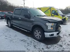 1FTEW1EP1GFB90754 2016 FORD F-150