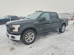 1FTEW1EP1GFC29228 2016 FORD F-150