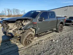 1FTEW1EP1GFC82205 2016 FORD F-150
