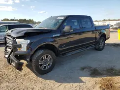 1FTEW1EP1GFD49174 2016 FORD F-150