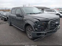 1FTEW1EP1GFD52446 2016 FORD F-150