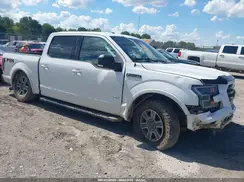 1FTEW1EP1HFB00746 2017 FORD F-150