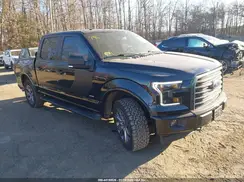 1FTEW1EP1HFB25212 2017 FORD F-150