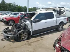 1FTEW1EP1HKC40318 2017 FORD F-150
