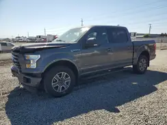 1FTEW1EP1HKD42203 2017 FORD F-150