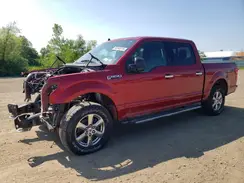 1FTEW1EP1KFB78631 2019 FORD F-150