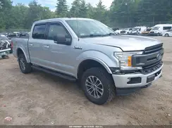 1FTEW1EP1KFB87619 2019 FORD F-150