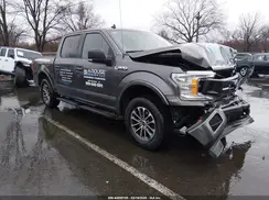 1FTEW1EP1KFC92483 2019 FORD F-150