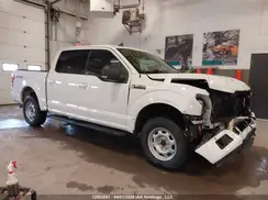 1FTEW1EP1KFD35834 2019 FORD F-150