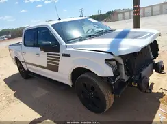 1FTEW1EP1KFD52262 2019 FORD F-150