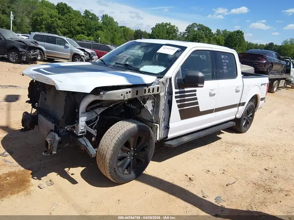 1FTEW1EP1KFD52262 2019 FORD F-150 - Image 2