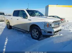 1FTEW1EP1KKD01514 2019 FORD F-150