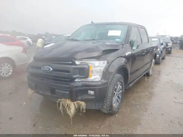 1FTEW1EP1LFB81319 2020 FORD F-150 - Image 2