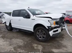 1FTEW1EP1LKE53262 2020 FORD F-150