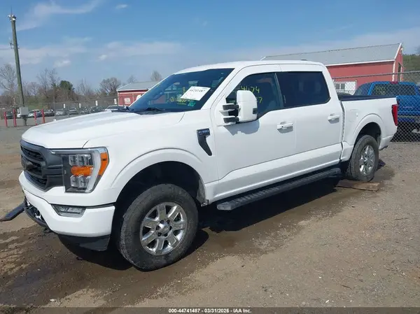 1FTEW1EP1MFA01502 2021 FORD F-150 - Image 2