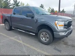 1FTEW1EP1MKD17439 2021 FORD F-150
