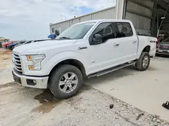 1FTEW1EP2GFA12741 2016 FORD F-150
