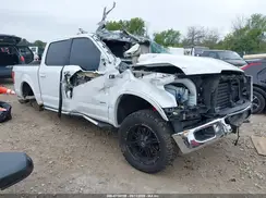 1FTEW1EP2GFA54505 2016 FORD F-150