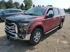 1FTEW1EP2GFA69196 2016 FORD F-150