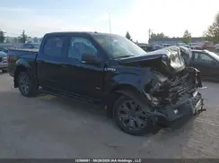 1FTEW1EP2GFD26325 2016 FORD F-150