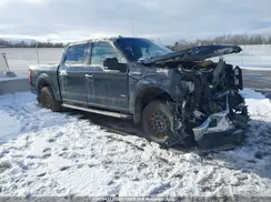 1FTEW1EP2HFA02230 2017 FORD F-150