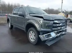 1FTEW1EP2HFA06231 2017 FORD F-150