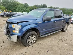 1FTEW1EP2HFA06343 2017 FORD F-150