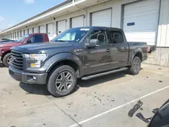 1FTEW1EP2HFB20620 2017 FORD F-150