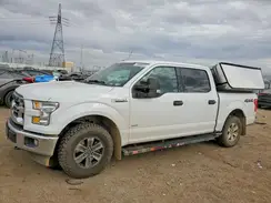 1FTEW1EP2HFB92773 2017 FORD F-150