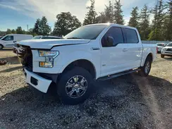 1FTEW1EP2HKC02175 2017 FORD F-150