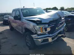 1FTEW1EP2KFB13948 2019 FORD F-150