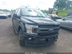 1FTEW1EP2KFB21502 2019 FORD F-150