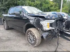 1FTEW1EP2KFB31818 2019 FORD F-150