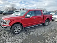 1FTEW1EP2KFB40437 2019 FORD F-150
