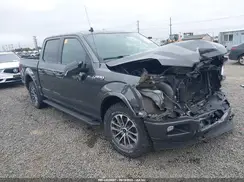 1FTEW1EP2KFD13079 2019 FORD F-150
