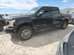 1FTEW1EP2KKC12955 2019 FORD F-150