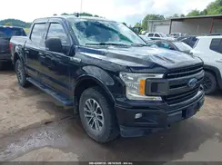 1FTEW1EP2KKD53413 2019 FORD F-150