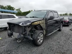 1FTEW1EP2KKD89487 2019 FORD F-150