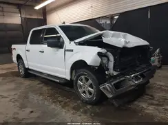 1FTEW1EP2KKF04735 2019 FORD F-150