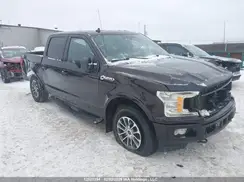1FTEW1EP2LFB58499 2020 FORD F-150