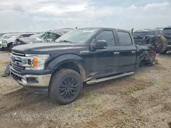 1FTEW1EP2LKD29954 2020 FORD F-150