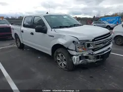 1FTEW1EP2LKE29486 2020 FORD F-150