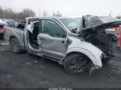 1FTEW1EP2MKD11391 2021 FORD F-150