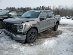 1FTEW1EP2MKD38705 2021 FORD F-150