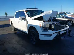 1FTEW1EP2PFD17771 2023 FORD F-150