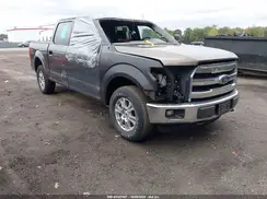 1FTEW1EP3GFA44906 2016 FORD F-150